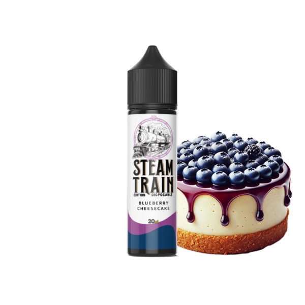 Steam Train - Disposable Edition - Vapeshot 20mL Shake 'n' Vape / Blueberry Cheesecake