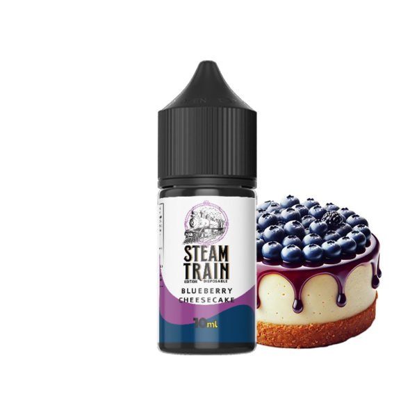Steam Train - Disposable Edition - Vapeshot 10mL Shake 'n' Vape / Blueberry Cheesecake