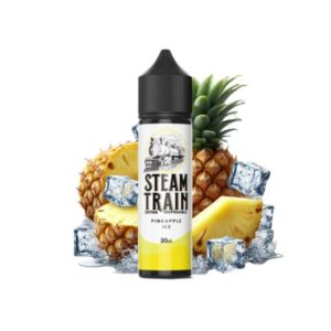 Steam Train - Disposable Edition - Vapeshot 20mL Shake 'n' Vape / Pineapple Ice